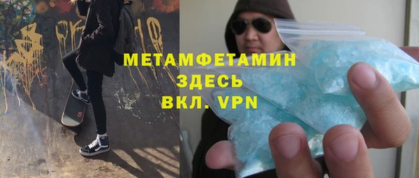 гидра Ельня
