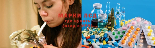 гидра Ельня