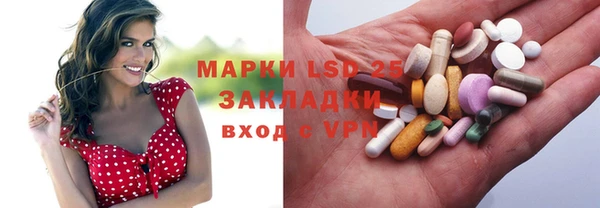 гидропоника Гусиноозёрск