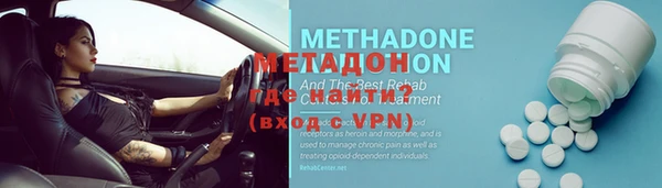 прущие грибы Елизово
