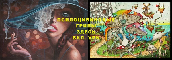 метамфетамин Гусев