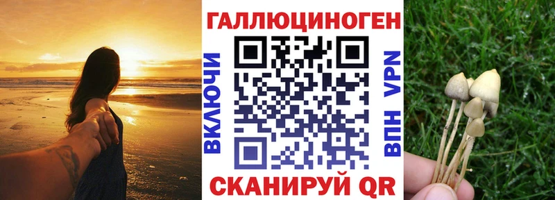 Галлюциногенные грибы Cubensis  Купить где  Малмыж 